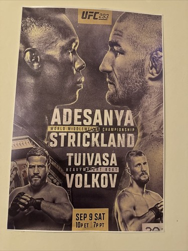 Ufc 293 canvas poster - poster,