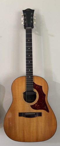 Hofner model 491 1969 - model,