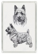 NORWICH TERRIER DOG ART PRINT