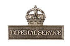 WW1 Territorial Imperial Services Overseas Volunteers Replica Lapel Badge