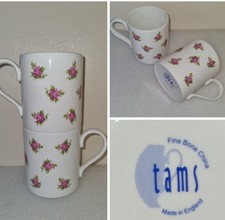 Pair of Tams Fine Bone China
