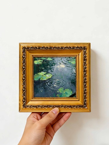 Water lily pond rain - water,