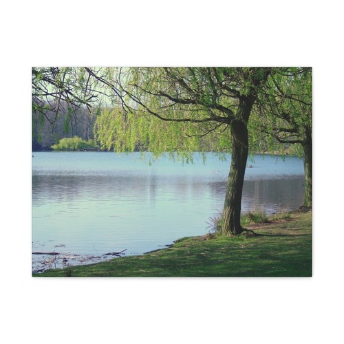Canvas wall art - canvas,