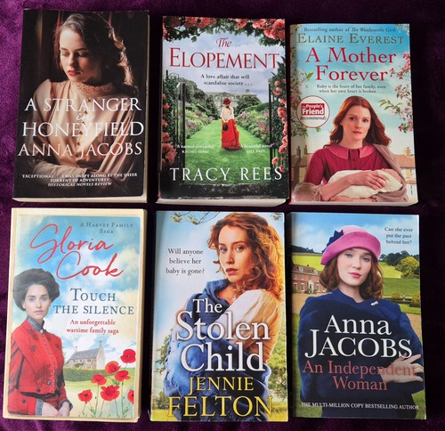 Historical fiction book - fiction, bundle