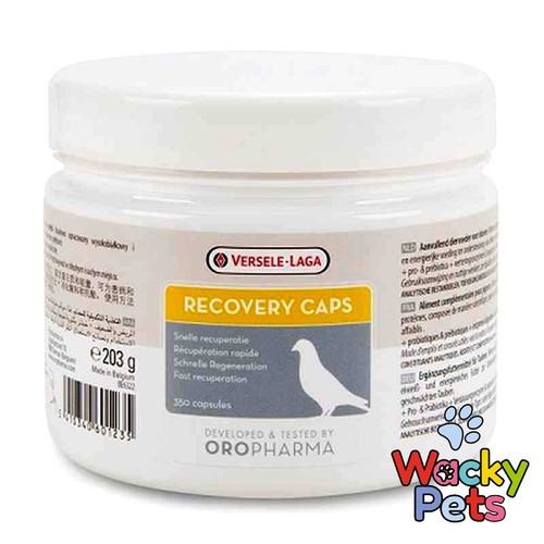 Pigeon supplement versele laga - pigeon,
