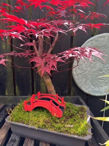 Bonsai ornament hand - ornament, made