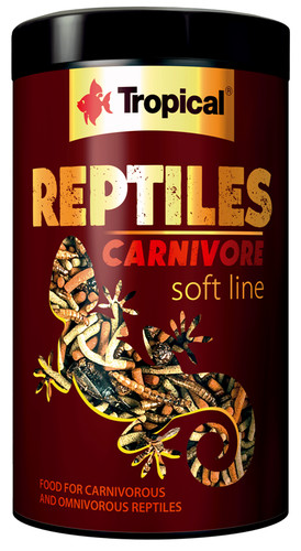 Original reptil carnivor - carnivor, &