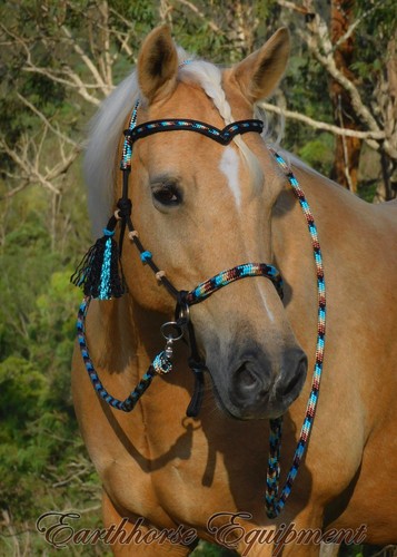 Earthhorse equipment brow - earthhorse, equipment,