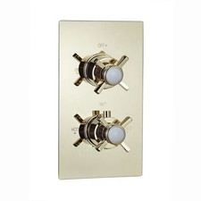 Twin Shower Valve Tap