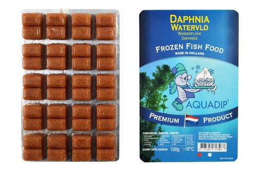 Aquadip frozen daphnia food - daphnia,