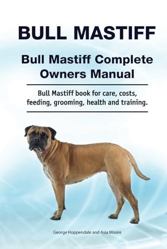 Bull mastiff - bull,