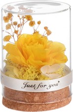 Preserved Flower In Glass Dome