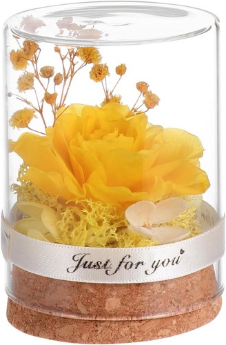 Preserved flower glass dome - preserved, in