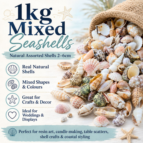 1kg natural mixed seashells - natural,
