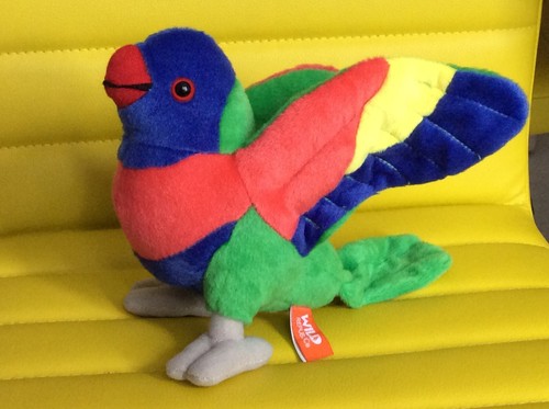 Wild garden bird - wild, x