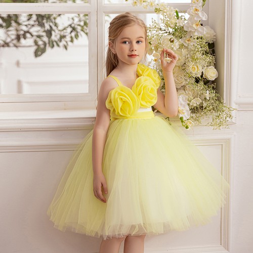 Party clothes new - party, rose