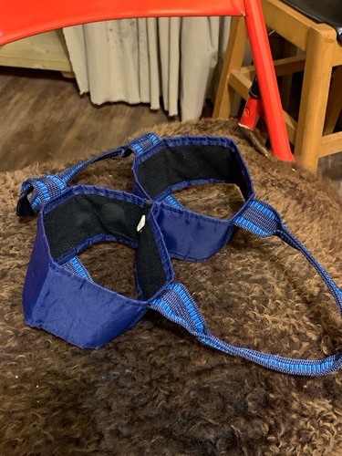 Bowls carrier blue - 2, /