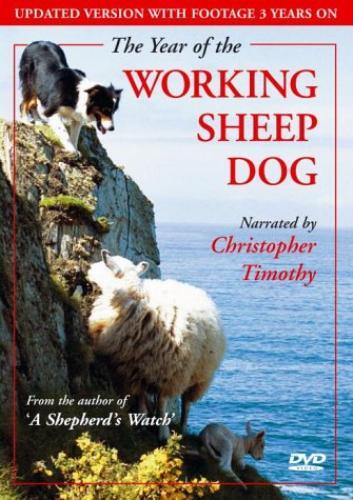 The year working - the,