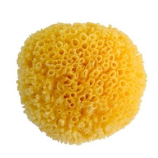 Silk Sea Sponge-Natural Sea