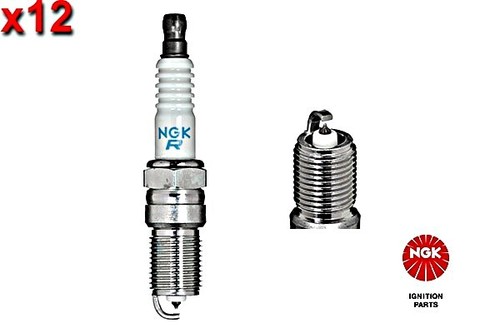 12x spark plug ngk fits - spark,