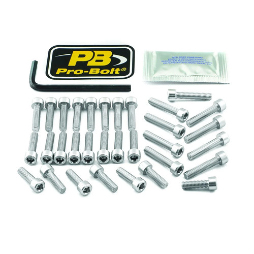 Pro bolt engine yam silver - kt,