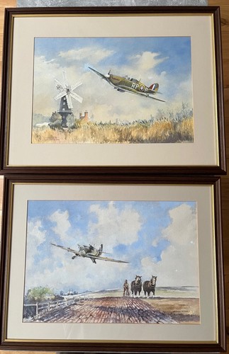 Pair framed watercolours - pair,