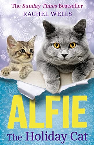 Alfie the holiday cat - alfie, cat: