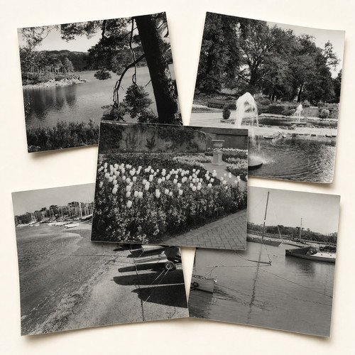 Original vintage black - original, white