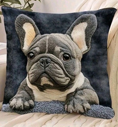 Beautiful french bulldog - 1,