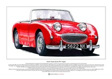 Austin-Healey Sprite Mk1