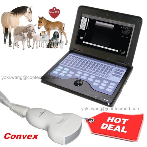 Vet animal laptop - vet,