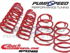 Pumaspeed Ford Fiesta MK7