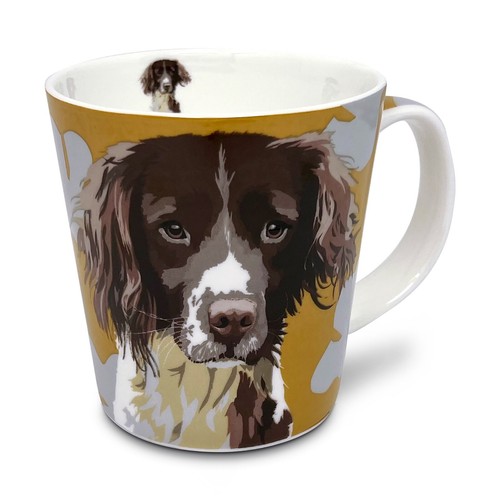 Springer spaniel fine bone - springer,