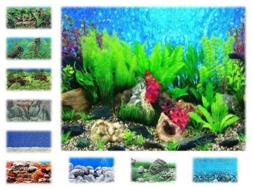 Aquarium vivarium plastic - aquarium,