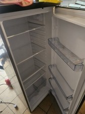 Swan Standing Fridge