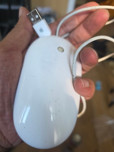 Apple magic mouse - apple,