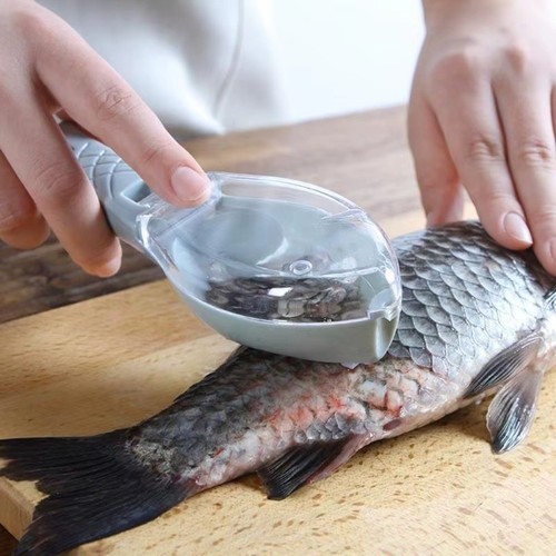 Fish descaler skin - skin, scale