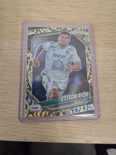 Ettson ayon 2025 panini - ayon,,