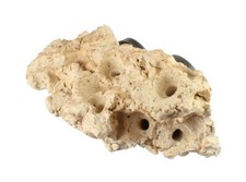 20kg Aquarium Ocean Rock Fish