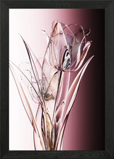 Glass tulip Framed Wall Art