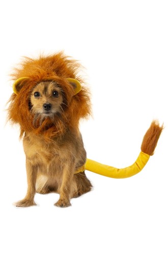 Rubie disney lion - disney,