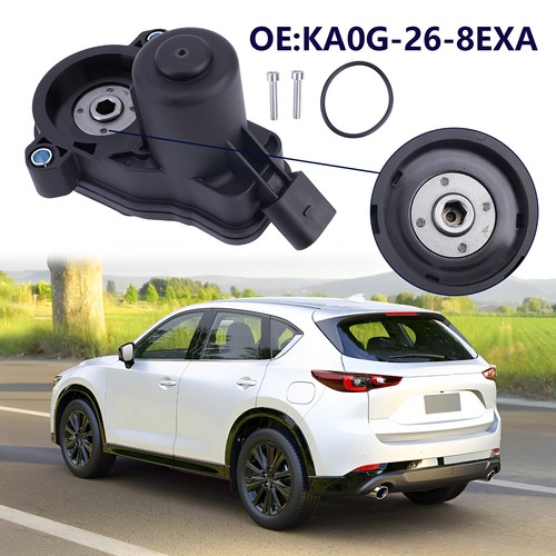 Rear parking brake adjust - parking,