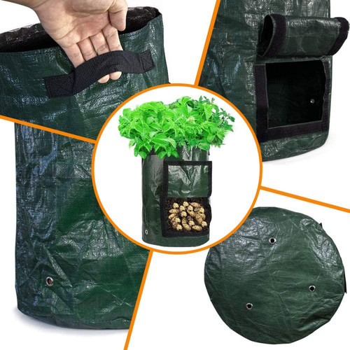 Grow bag vegetable planter - grow,