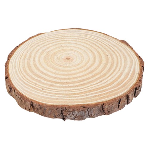 Stepping stones outdoor - stepping,