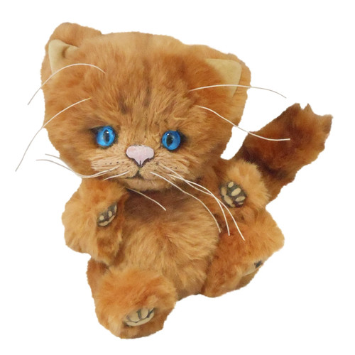 Kitten janik clemens - janik,