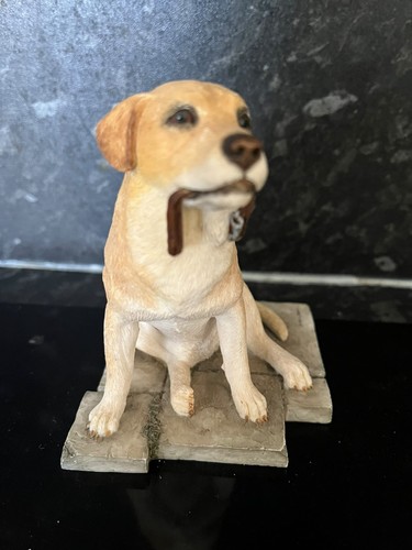 Sherratt simpson labrador - &,
