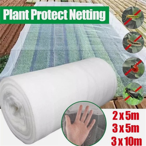Insect netting net - net, fine