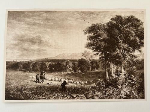Antique print vale - vale, of