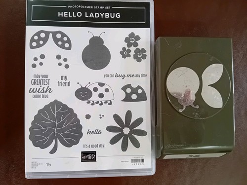 Hello ladybug stampin - hello,