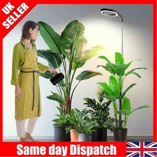 LED Grow Lights for Indoor